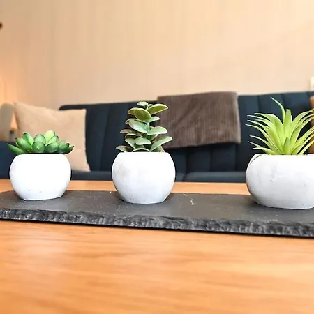 Haus Wendy Apartment